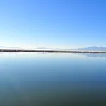Les Pieds Dans L'eau 1-piscine Chauffee Appartement *